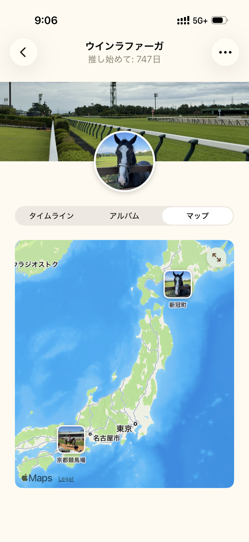 マップ画面
